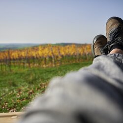 Fotoshooting Herbst Eppinger Linien Weg - Christian Ernst
