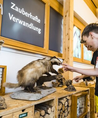 © STEFAN KUHN PHOTOGRAPHY