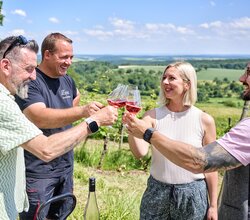 Burg Steinsberg in Sinsheim Weiler, Baden-Württemberg, Deutschland | © (c)floriantrykowski.de