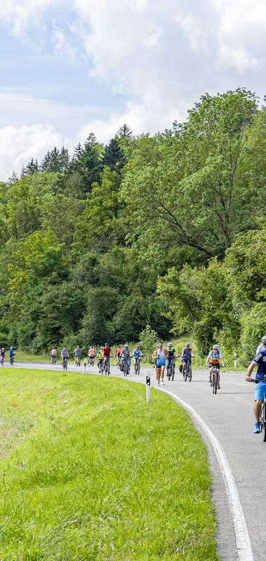 Autofreier Sonntag 4. August 2024
Autofreier Sonntag im Liebllichen Taubertal 4. August 2024 zwischen Igersheim und Detwang