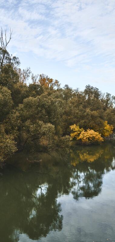 Wandern, spazieren gehen am Alten Rhein im Herbst
Baden-Württemberg, Deutschland,