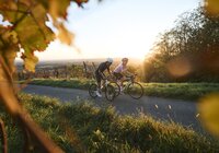 Radfahren in Malsch am Letzenberg, Rhein-Neckar, Baden Württemberg, Deutschland
