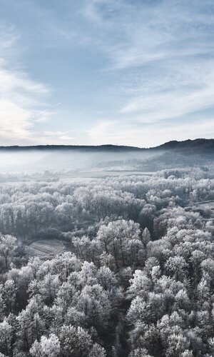 Kupfermoor, Hohenlohe, Baden Württemberg, Deutschland