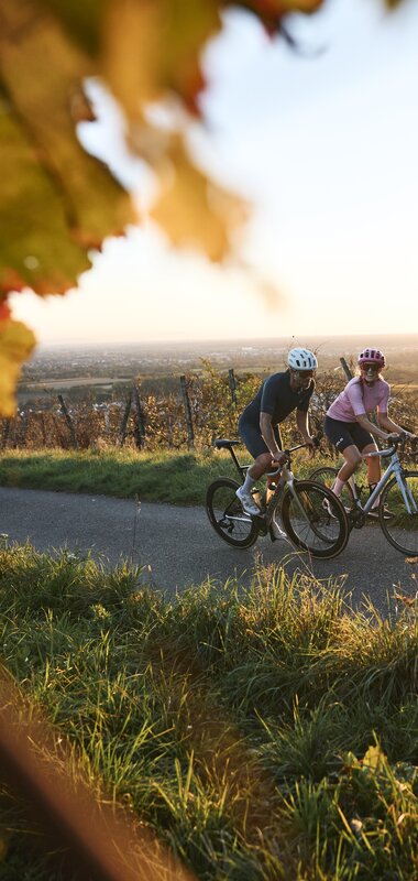 Radfahren in Malsch am Letzenberg, Rhein-Neckar, Baden Württemberg, Deutschland