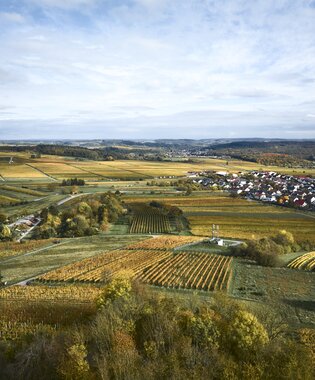 Letzenberg, Rhein-Neckar, Baden Württemberg, Deutschland