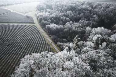 Kupfermoor, Hohenlohe, Baden Württemberg, Deutschland