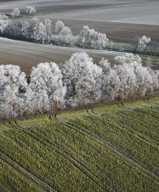 Kupfermoor, Hohenlohe, Baden Württemberg, Deutschland