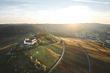 Michaelsberg, Cleebronn, Heilbronner Land, Baden-Württemberg, Deutschland, Naturpark Stromberg-Heuchelberg