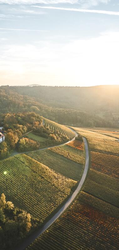 Michaelsberg, Cleebronn, Heilbronner Land, Baden-Württemberg, Deutschland, Naturpark Stromberg-Heuchelberg