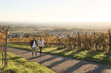 Wandern in den Weinbergen von Malsch, Rhein-Neckar, Letzenberg, Baden Württemberg, Deutschland