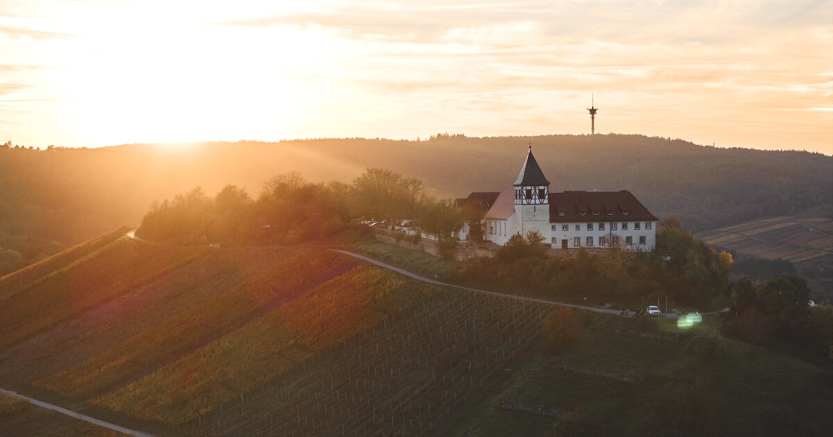 Cleebronn - Weinort am Michaelsberg