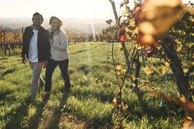 Wandern in den Weinbergen von Malsch, Rhein-Neckar, Letzenberg, Baden Württemberg, Deutschland