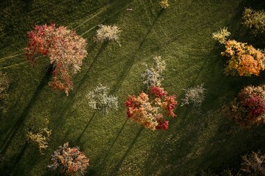 Rosswag, Kraichgau-Stromberg, Baden Württemberg, Deutschland