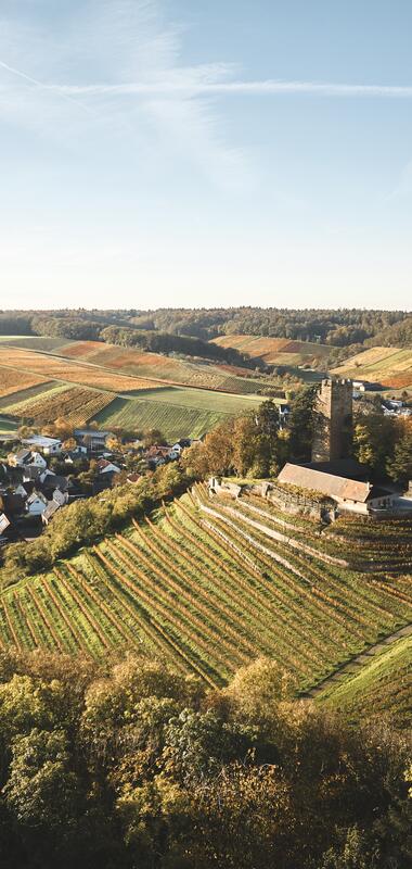 Burg Neipperg im HeilbronnerLand, Baden-Württemberg, Deutschland, Brackenheim