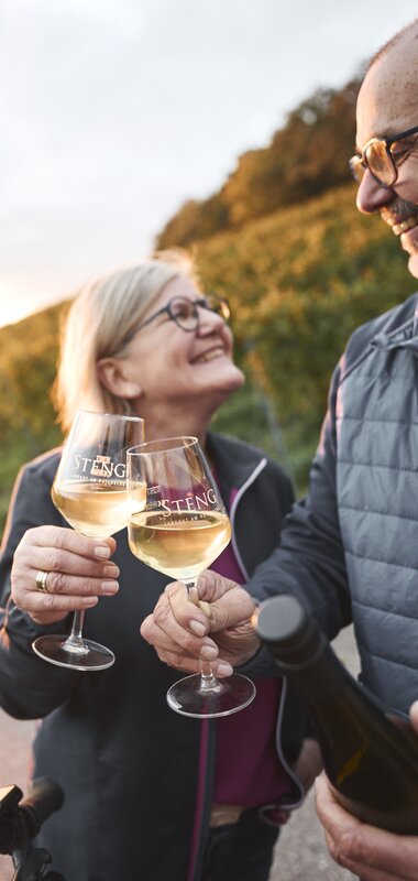 Radfahren im Herbst - Weinradwege HeilbronnerLand | Brackenheim, Naturpark Stromberg-Heuchelberg, Baden-Württemberg, Deutschland