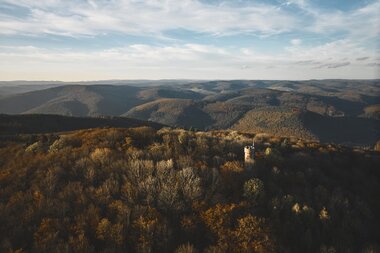 Katzenbuckel-Furm im Waldkatzenbach, Odenwald, Baden-Württemberg, Deutschland