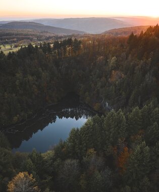 Katzenbuckel-Furm im Waldkatzenbach, Odenwald, Baden-Württemberg, Deutschland