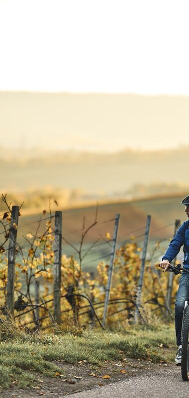 Radfahren im Herbst - Weinradwege HeilbronnerLand | Brackenheim, Naturpark Stromberg-Heuchelberg, Baden-Württemberg, Deutschland
