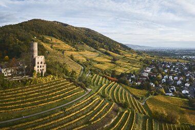 Strahlenburg, Rhein-Neckar, Baden-Württemberg, Deutschland