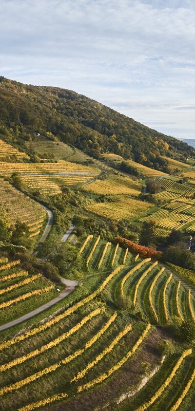 Strahlenburg, Rhein-Neckar, Baden-Württemberg, Deutschland