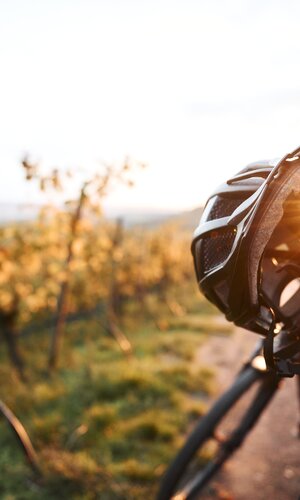 Radfahren im Herbst - Weinradwege HeilbronnerLand | Brackenheim, Naturpark Stromberg-Heuchelberg, Baden-Württemberg, Deutschland