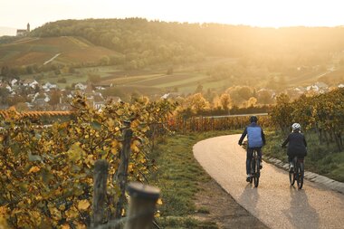 Radfahren im Herbst - Weinradwege HeilbronnerLand | Brackenheim, Naturpark Stromberg-Heuchelberg, Baden-Württemberg, Deutschland