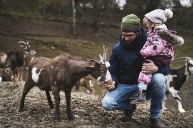 Wildpark in Schwarzach im Odenwald, Baden Württemberg, Deutschland