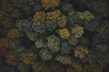 Steinsberg, Rhein-Neckar, Baden Württemberg, Deutschland