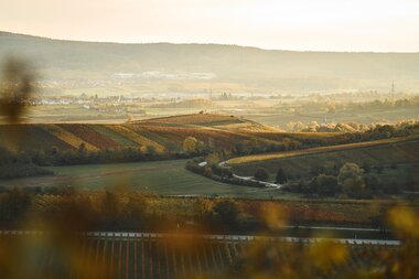 Radfahren am  Zweifelberg, Heilbronner-Land, Baden-Württemberg, Deutschland