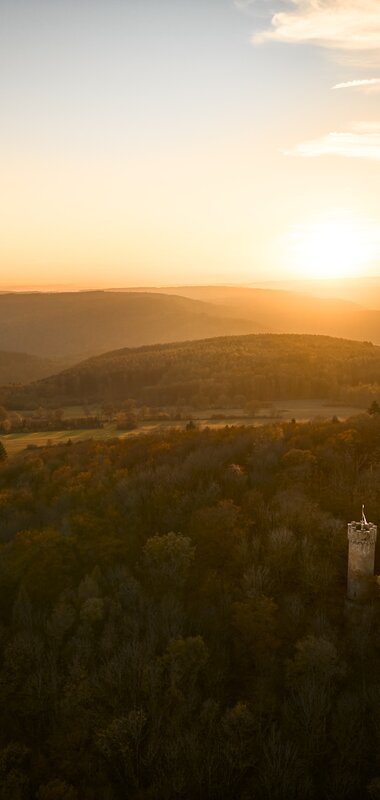 Katzenbuckel-Furm im Waldkatzenbach, Odenwald, Baden-Württemberg, Deutschland