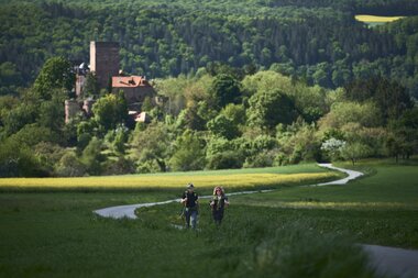 Gamburg im Taubertal, Baden-Württemberg, Deutschland | © Stefan Leitner