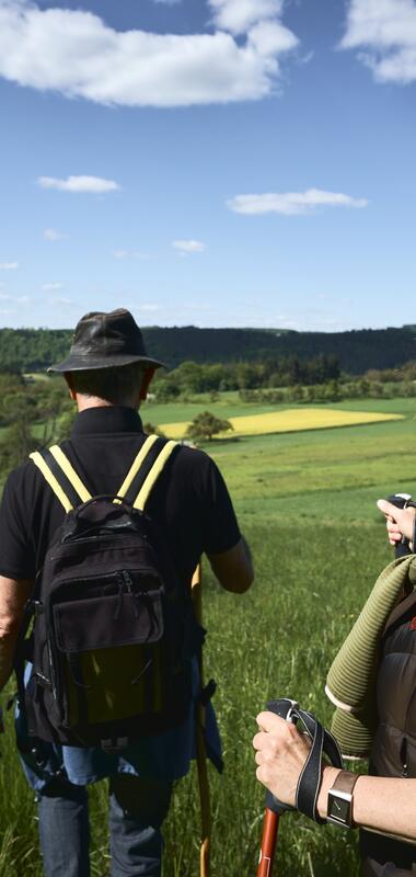 Gamburg im Taubertal, Baden-Württemberg, Deutschland