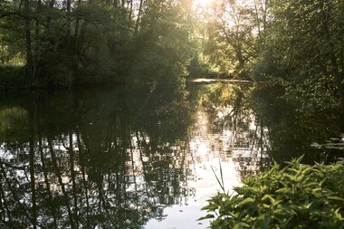 Werbach im Taubertal, Baden-Württemberg, Deutschland | © Stefan Leitner
