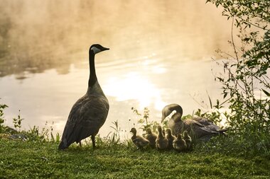 Camping AZUR in Wertheim im Taubertal, Baden-Württemberg, Deutschland | © Stefan Leitner