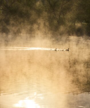 Camping AZUR in Wertheim im Taubertal, Baden-Württemberg, Deutschland | © Stefan Leitner