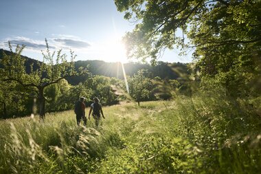 Reicholzheim, Odenwald, Baden-Württemberg, Deutschland | © Stefan Leitner