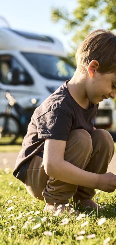 Binau, Odenwald, Baden-Württemberg, Deutschland
Familie mit Fahrrädern und Wohnmobil auf dem Campingplatz. 
Fortuna Camping, Binau, Odenwald, Baden-Württemberg, Deutschland