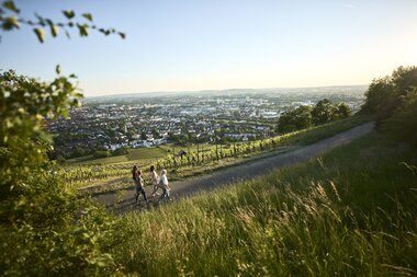 Unterwegs am Weinberg in Heilbronn, HeilbronnerLand, Baden-Württemberg, Deutschland | © Stefan Leitner