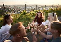 Unterwegs am Weinberg in Heilbronn, HeilbronnerLand, Baden-Württemberg, Deutschland
Unterwegs am Wartberg in Heilbronn -  am Martin-Heinrich-Wengertshäusle | Sundowner Weinerlebnis HeilbronnerLand, Baden-Württemberg, Deutschland | © Stefan Leitner