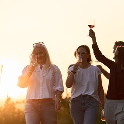 Unterwegs am Weinberg in Heilbronn, HeilbronnerLand, Baden-Württemberg, Deutschland
Unterwegs am Wartberg in Heilbronn -  am Martin-Heinrich-Wengertshäusle | Sundowner Weinerlebnis HeilbronnerLand, Baden-Württemberg, Deutschland | © Stefan Leitner