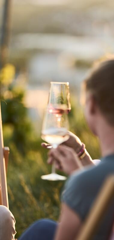 Unterwegs am Weinberg in Heilbronn, HeilbronnerLand, Baden-Württemberg, Deutschland
Unterwegs am Wartberg in Heilbronn -  am Martin-Heinrich-Wengertshäusle | Sundowner Weinerlebnis HeilbronnerLand, Baden-Württemberg, Deutschland