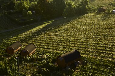 Schlaffässer im Weingut - Glamping im Weingut Müller im Auerberg | Nordheim, HeilbronnerLand, Baden-Württemberg, Deutschland