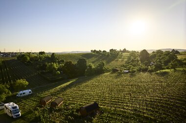 Auerberg, HeilbronnerLand, Baden-Württemberg, Deutschland
Schlaffässer im Weingut - Glamping im Weingut Müller im Auerberg | Nordheim, HeilbronnerLand, Baden-Württemberg, Deutschland