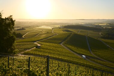 Am Heuchelberg, Kraichgau-Stromberg, Baden-Württemberg im Deutschland | © Stefan Leitner