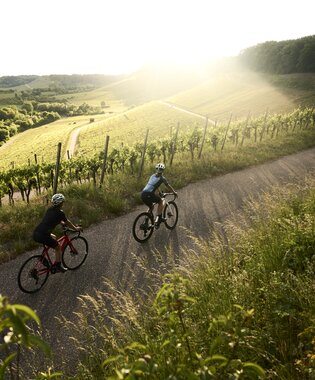 Radfahren am Zweifelberg, Kraichgau-Stromberg, Baden-Württemberg in Deutschland | © Stefan Leitner