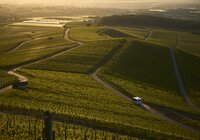 Am Heuchelberg, Kraichgau-Stromberg, Baden-Württemberg im Deutschland | © Stefan Leitner