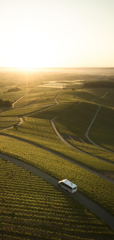 Am Heuchelberg, Kraichgau-Stromberg, Baden-Württemberg im Deutschland