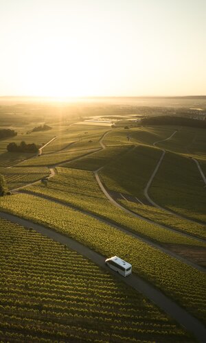Am Heuchelberg, Kraichgau-Stromberg, Baden-Württemberg im Deutschland