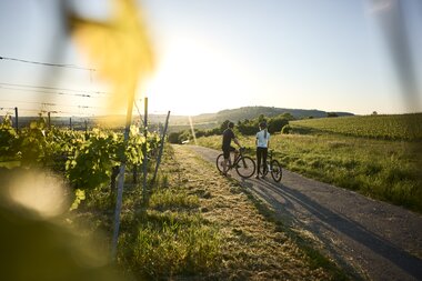 Radfahren am Derdinger Horn, Kraichgau-Stromberg, Baden-Württemberg in Deutschland | © Stefan Leitner
