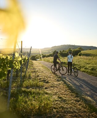Radfahren am Derdinger Horn, Kraichgau-Stromberg, Baden-Württemberg in Deutschland | © Stefan Leitner